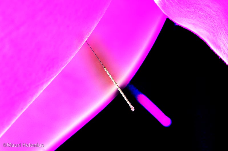 nil